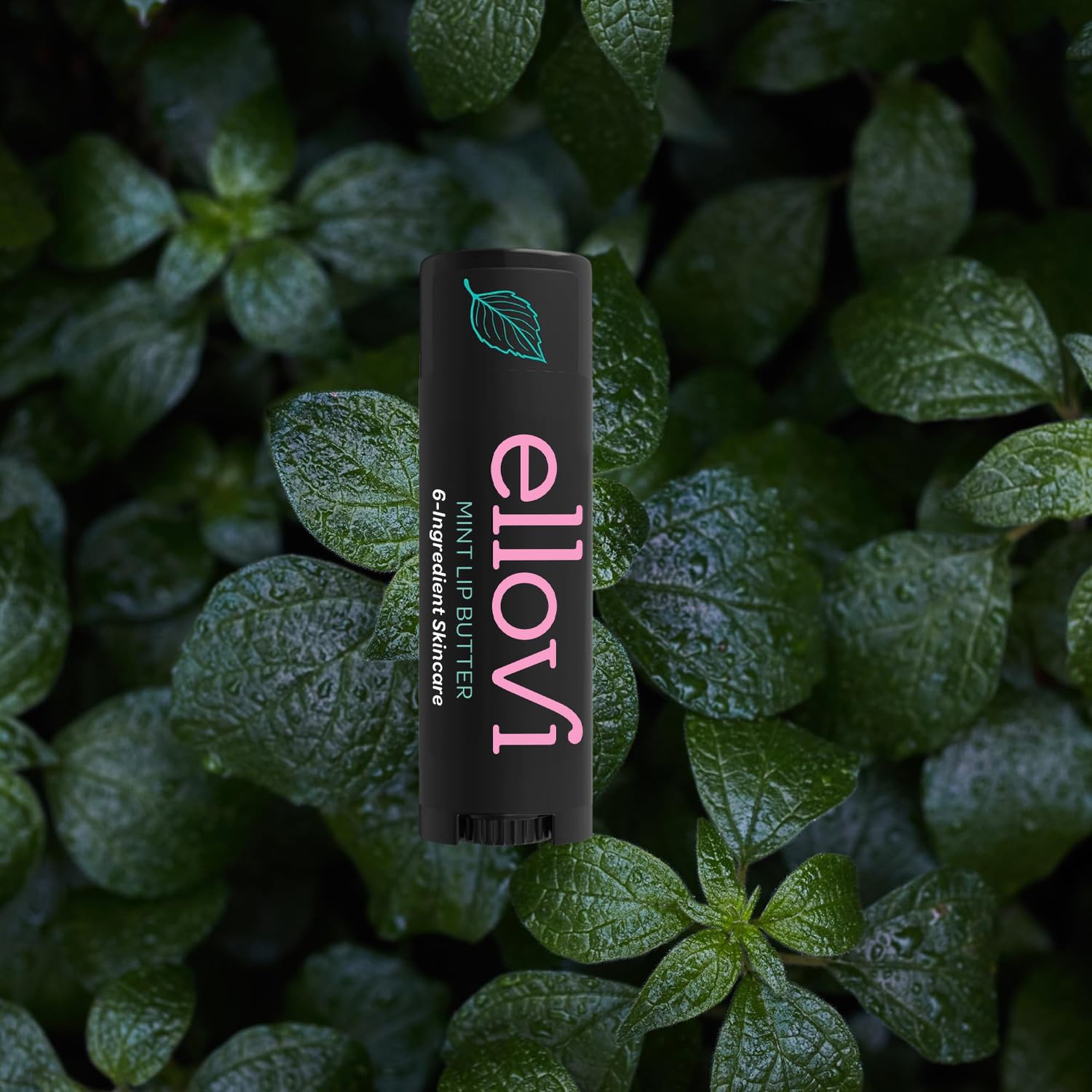 Ellovi Natural Lip Butter Lip Balm - Mint - Pure Enough to Eat - Made With Just 6 Vegan Ingredients - Moisturizing Lip Care for All Day Hydration (Single)